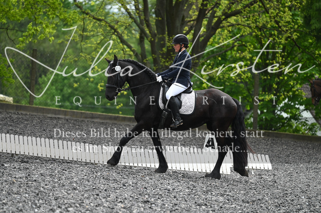 20230512_JK-Röhrsdorf-07-070 | Pferde- und Turnierfotografie in Westsachsen. Pferdeportraits, Auftragszeichnungen und intuitive Kunst.