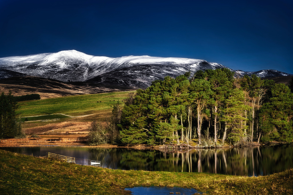 Loch Moraig | Eine weite Winterlandschaft in den schottischen Highlands zeigt einen ruhigen See, umrahmt von einem dichten Nadelwald. Im Hintergrund erheben sich majestätische, schneebedeckte Berge unter einem tiefblauen Himmel. Die klare Wintersonne beleuchtet die Szenerie und erzeugt starke Kontraste sowie detailreiche Reflexionen im Wasser. - Realisiert mit Pictrs.com