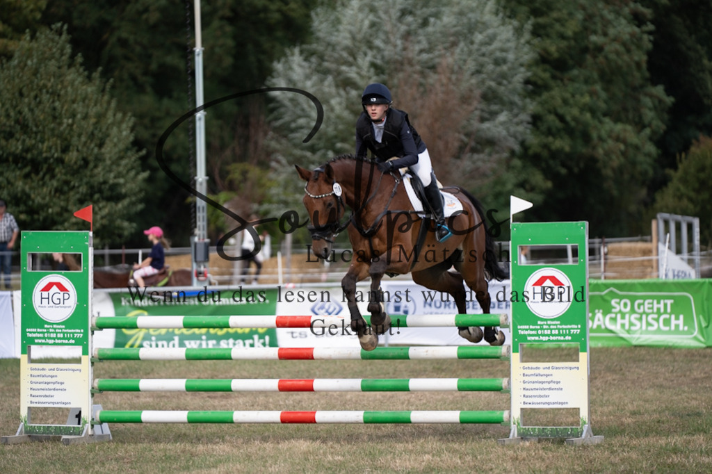 A7V09292 | Pferdefotograf