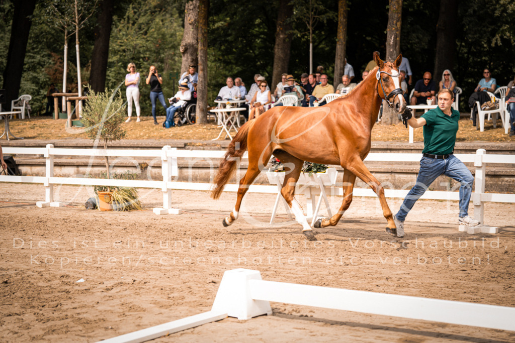 5.Fr00082 | Leoni Ertmer Photography - Realisiert mit Pictrs.com