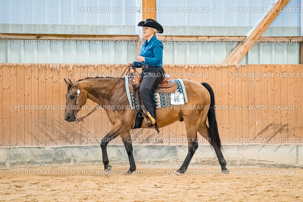 DSC00432 | Pferdegrafie