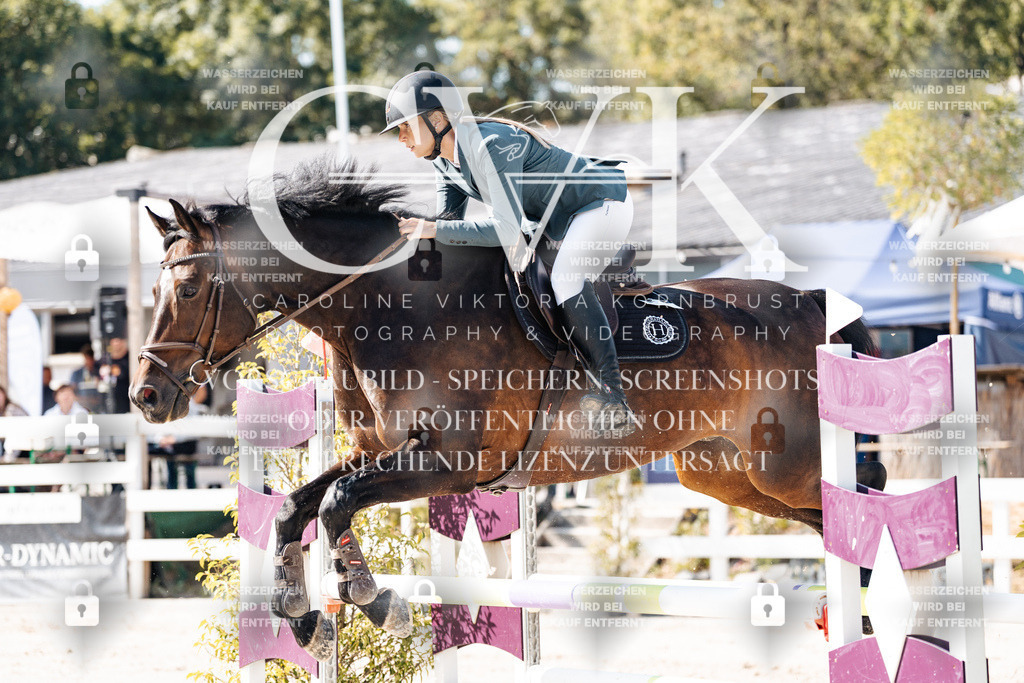 CK908004 | Turnierfotografie Pferdefotografie Trier Rheinland-Pfalz Pferdesport Reitsport Tierfotografie Sportfotografie Pferdevideo Pferdevideografie Equestrianvideography equestrianphotography  - Realisiert mit Pictrs.com