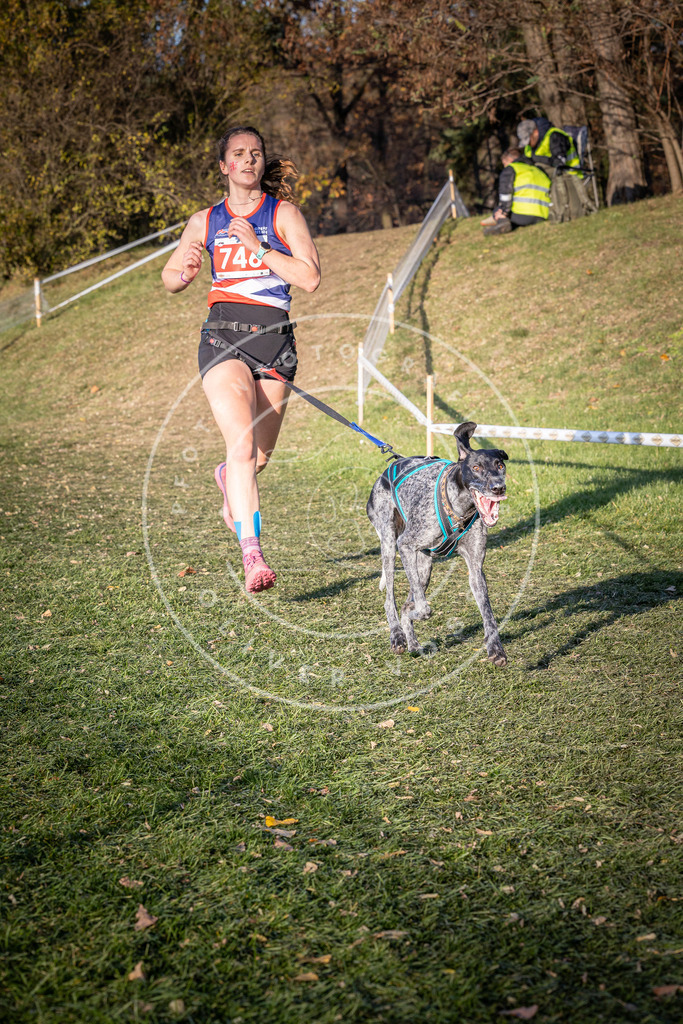 CaniXpix_0L8A9847 | Hundefotografie, Tierfotograf, Pfotenfotografie, Fotoshooting Hund, Hunde Portrait, Hundesport, Hundeportraits, Heideshooting, Hunde, Sportfotograf, Hundefotograf, Turnierhundsport, THS,  - Realisiert mit Pictrs.com