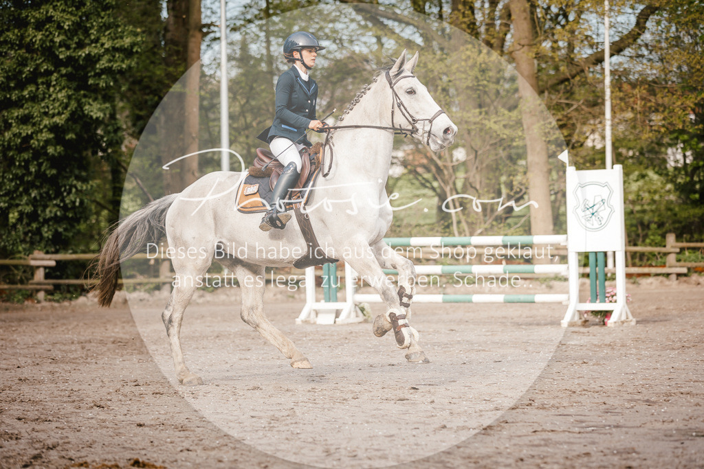 3I6A3380 | Stimmungsvolle Portraits und Reitsportfotografie im Ruhrgebiet und im Münsterland.

Pferdefotografie, Hundefotografie, Tierfotografie, Reportagen, Portraits von Tier und Mensch, Turnierfotografie in Bochum, Recklinghausen, Marl, Haltern am See, Dülmen.. - Realisiert mit Pictrs.com
