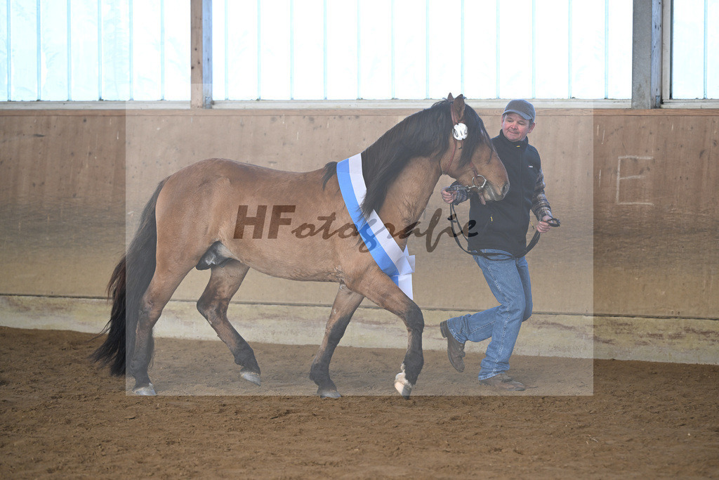 Kat-Nr. 12 Tapadero v. Tape Isidoro_Seefried_49250508 | hf-fotografie - Realisiert mit Pictrs.com