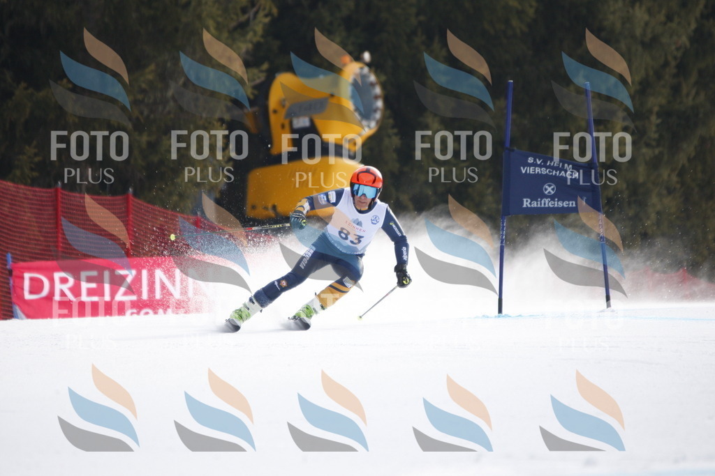 D6038 | holidayphoto