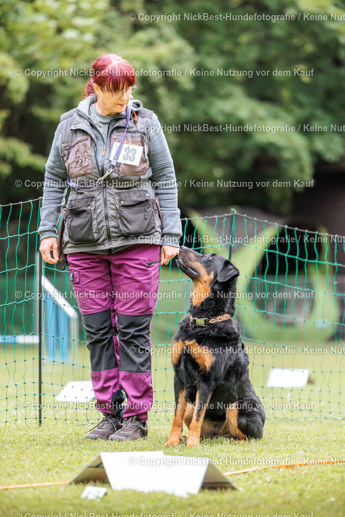 RO-Blumenthal-2026-Nickbest-Hundefotografie-2640 | Dein Hund! Dein Moment! Deine Erinnerungen! Hundefotografie in Bremen Blumenthal. Ich fange die besonderen Momente deines Vierbeiners ein – ob Indoor mit Blitzanlage oder in der freien Natur. Sicher dir dein Moment und dein Termin für eure Erinnerungen.
