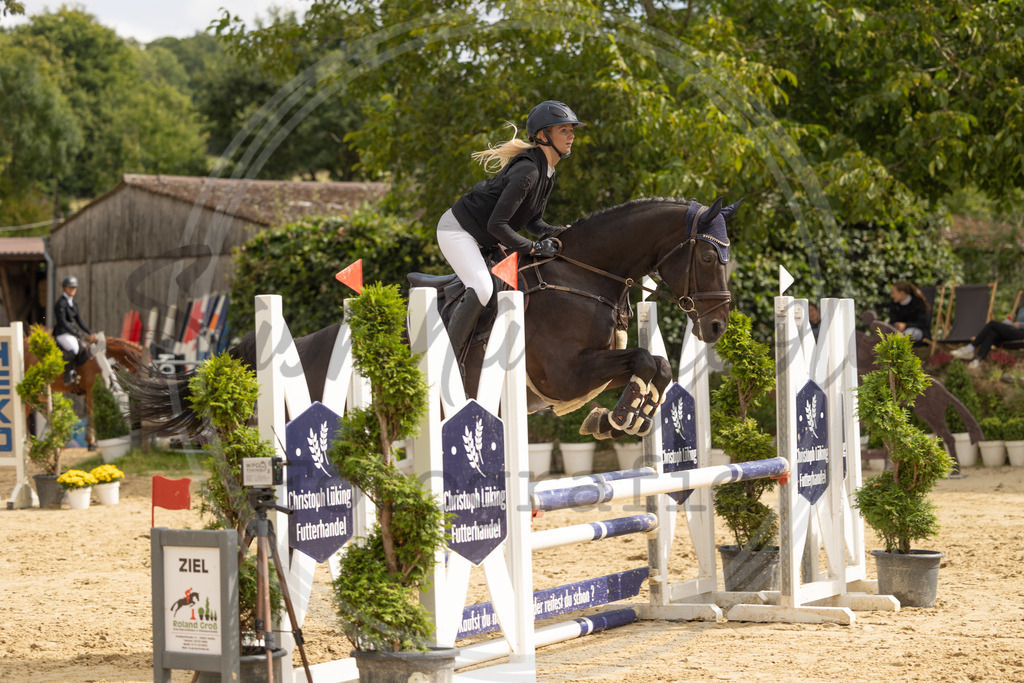 994A7863 | sabrinanicolaifotografie - Realisiert mit Pictrs.com