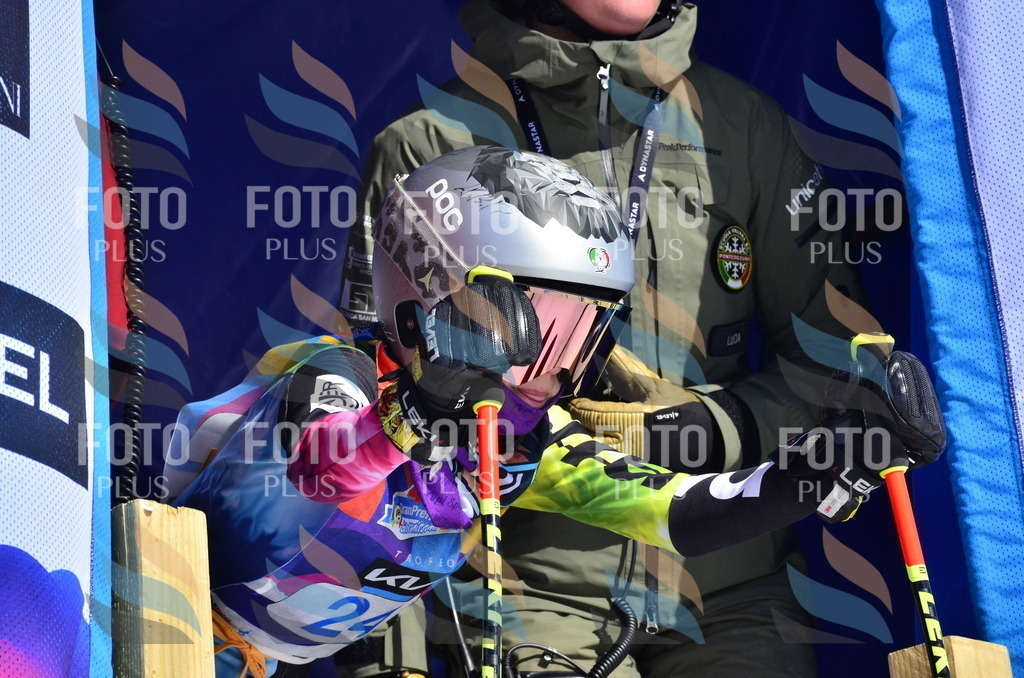 _ELE9914 | holidayphoto