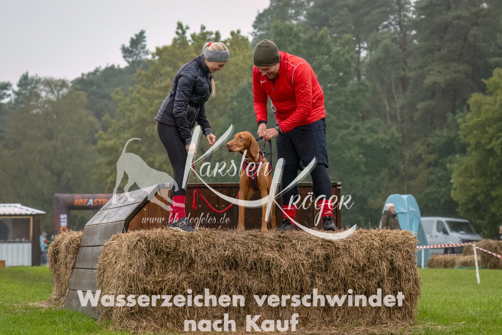 1240--4 | kk-dogfotos