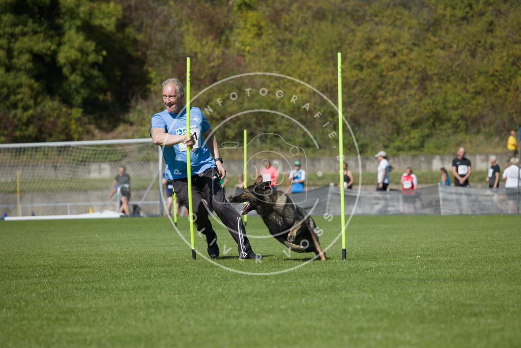 0L8A6312 | Hundefotografie, Tierfotograf, Pfotenfotografie, Fotoshooting Hund, Hunde Portrait, Hundesport, Hundeportraits, Heideshooting, Hunde, Sportfotograf, Hundefotograf, Turnierhundsport, THS,  - Realisiert mit Pictrs.com