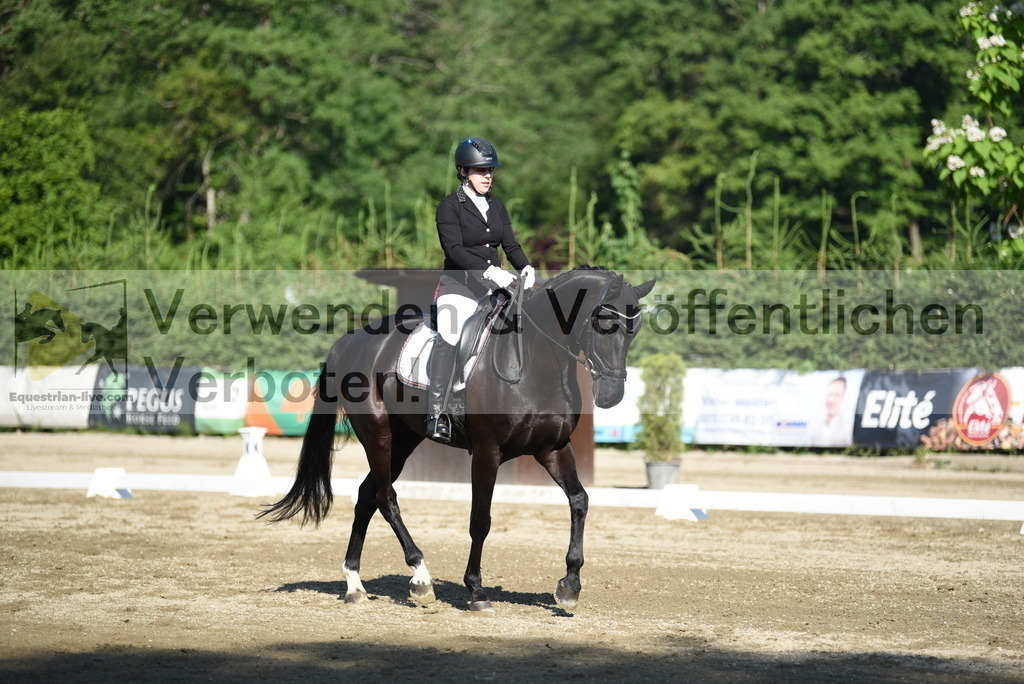 DSC_7078 | equestrian-live-com