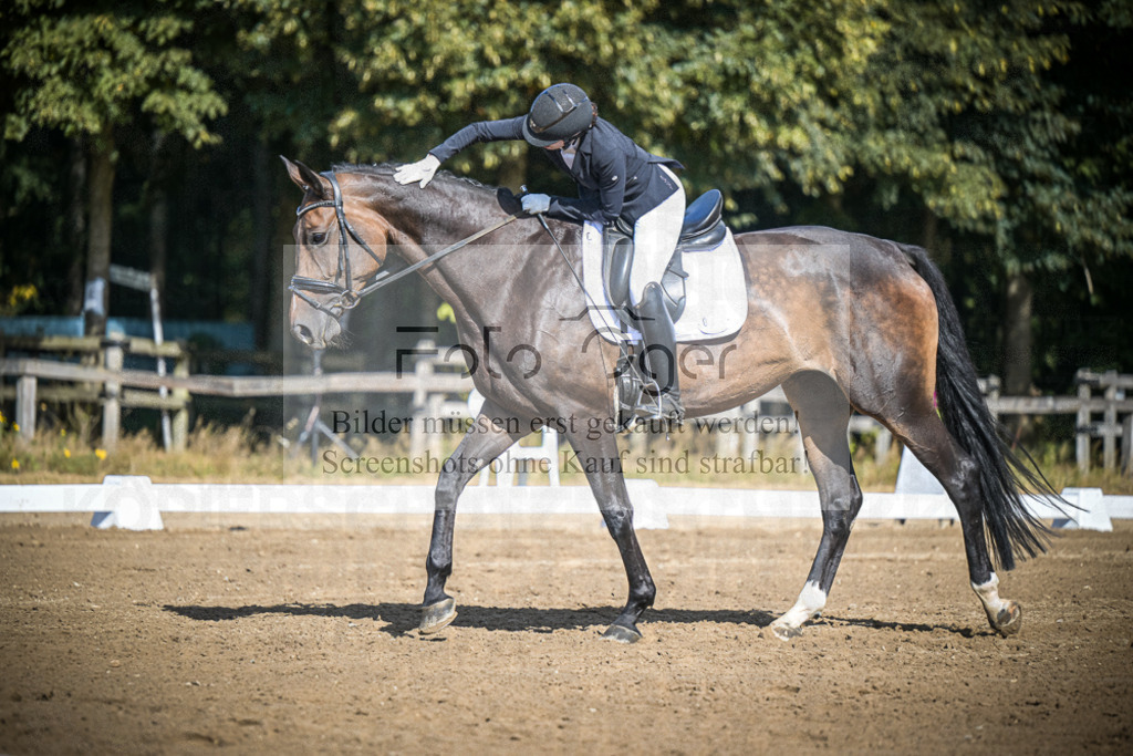 DOS_3435 | Entdecke hochwertige Reitturnierfotos von Foto Oger. Professionell, emotional und authentisch – jetzt Lieblingsmomente im Shop bestellen.Deutschlandweite Turnierfotografie. - Realisiert mit Pictrs.com
