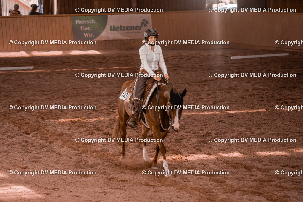 NE300369 | dv-media-shop - Realisiert mit Pictrs.com