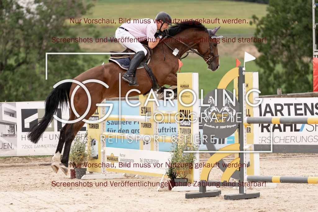 DSC06487 | Springturnier_Teamchallege_Talheim_2026, Andreas_Wittlinger, Charlie_Brown_148