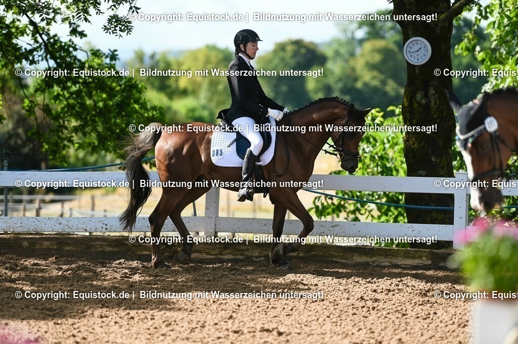 20230716_04_Dressurreiterprüfung Kl.A_0173 | equistock