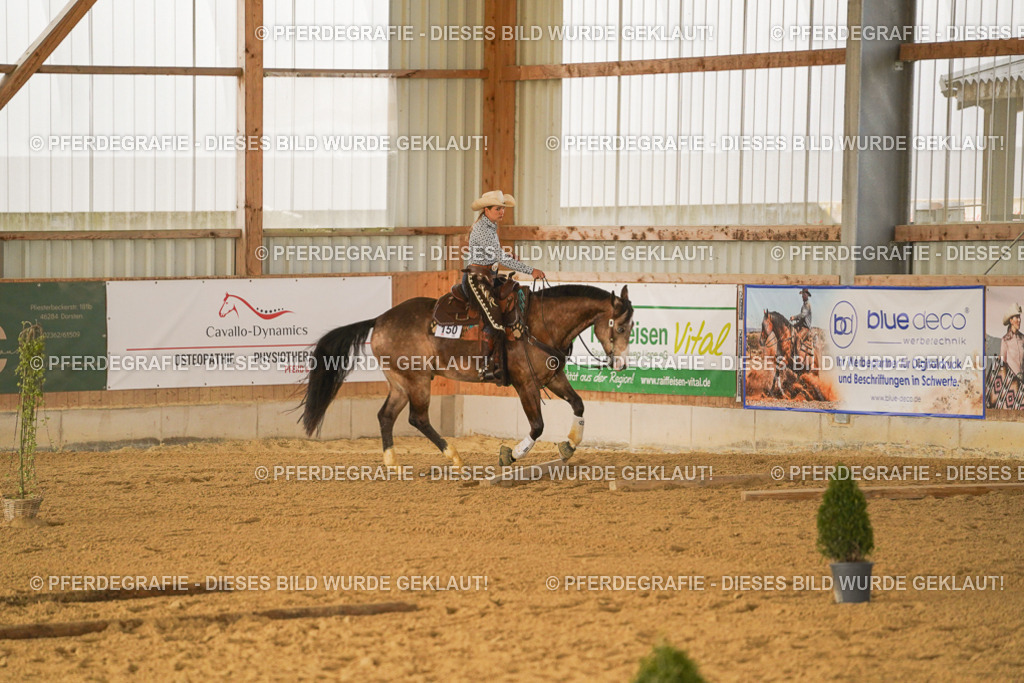 DSC02731 | Pferdegrafie