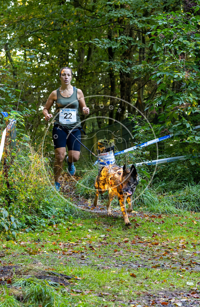 Pfotenfotografie_DV3A6484 | Hundefotografie, Tierfotograf, Pfotenfotografie, Fotoshooting Hund, Hunde Portrait, Hundesport, Hundeportraits, Heideshooting, Hunde, Sportfotograf, Hundefotograf, Turnierhundsport, THS,  - Realisiert mit Pictrs.com
