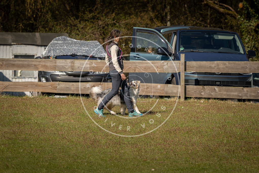 Pfotenfotografie_DV3A0502 | Hundefotografie, Tierfotograf, Pfotenfotografie, Fotoshooting Hund, Hunde Portrait, Hundesport, Hundeportraits, Heideshooting, Hunde, Sportfotograf, Hundefotograf, Turnierhundsport, THS,  - Realisiert mit Pictrs.com