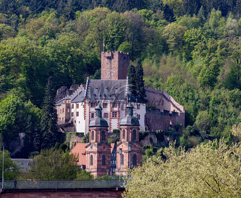 _X0A1140bea | Frank Herberich Fotografie, Frank Herberich, Fotografie, Hochzeit, Portrait, St. Peter Ording, Ording, Westerhever, Nordsee, Frank Fotografie, Hardheim,  Odenwald,Walldürn, Band,Eventfotografie - Realisiert mit Pictrs.com