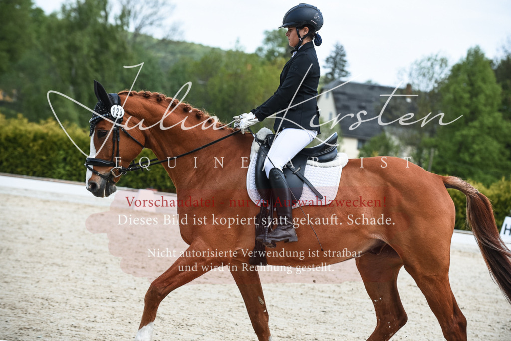 20230518_JK-Röhrsdorf-12-0082 | Pferde- und Turnierfotografie in Westsachsen. Pferdeportraits, Auftragszeichnungen und intuitive Kunst.