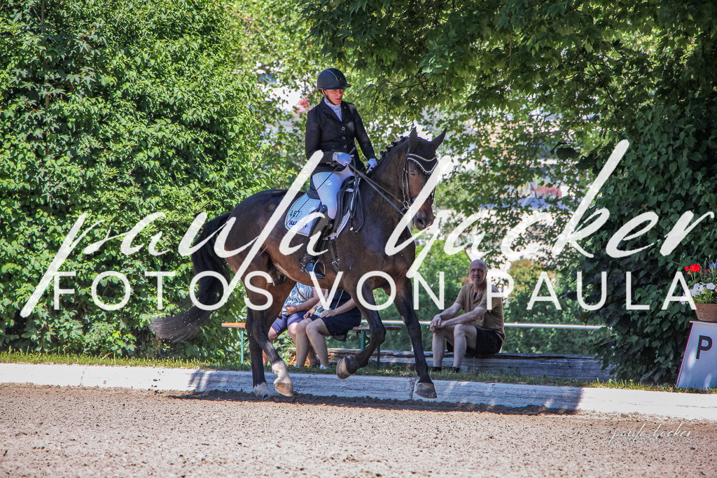 IMG_0615 | Erleben Sie dynamische Sport- und emotionale Tierfotografie in Süddeutschland mit Fotos von Paula. Spezialisiert auf Pferde- und Hundefotografie sowie Sportevents. Kontaktieren Sie mich für einzigartige und ausdrucksstarke Bilder Ihrer besonderen Momente. - Realisiert mit Pictrs.com