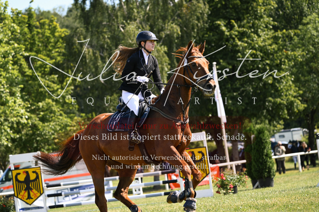 DSC_8881 | Pferde- und Turnierfotografie in Westsachsen. Pferdeportraits, Auftragszeichnungen und intuitive Kunst.