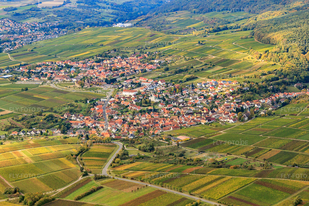 Luftbild: Winzerdorfansicht von Norden im Ortsteil Rechtenbach in Schweigen-Rechtenbach im Bundesland Rheinland-Pfalz in Deutschland. Foto: IMG_22436.jpg vom 15.10.2009 durch Werner Riehm/FLY-FOTO.de