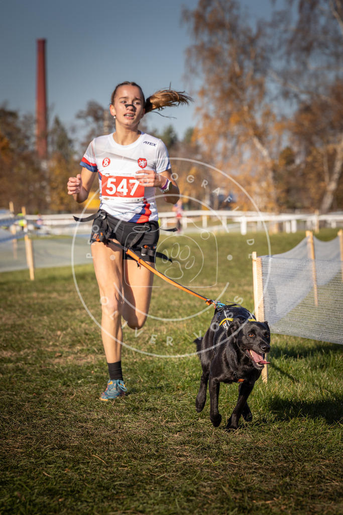 CaniXpix_0L8A7716 | Hundefotografie, Tierfotograf, Pfotenfotografie, Fotoshooting Hund, Hunde Portrait, Hundesport, Hundeportraits, Heideshooting, Hunde, Sportfotograf, Hundefotograf, Turnierhundsport, THS,  - Realisiert mit Pictrs.com