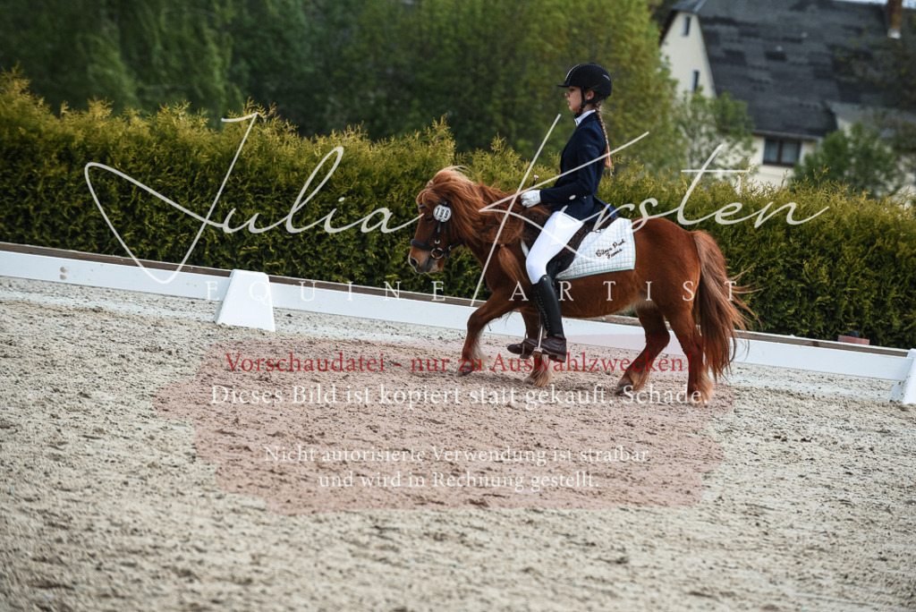 20230518_JK-Röhrsdorf-11-0967 | Pferde- und Turnierfotografie in Westsachsen. Pferdeportraits, Auftragszeichnungen und intuitive Kunst.