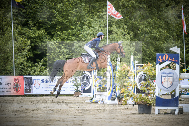 DOS_6495 | Entdecke hochwertige Reitturnierfotos von Foto Oger. Professionell, emotional und authentisch – jetzt Lieblingsmomente im Shop bestellen. - Realized with Pictrs.com