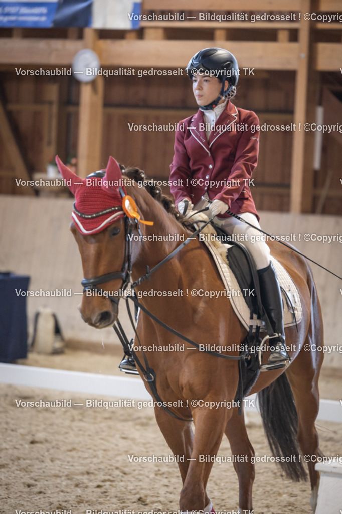 _D5A5719 | Emotionale Pferde- & People-Fotografie rund um Heidelberg, Leimen & Umgebung. Natürliche Fotos von Pferd, Mensch & Familie. Jetzt Termin sichern!