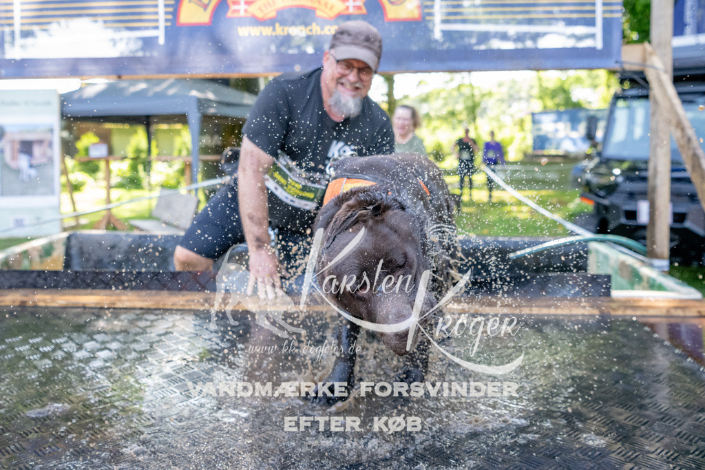 1540_ZZ92661 | kk-dogfotos