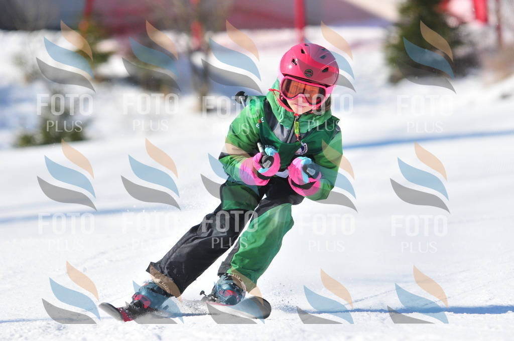 C2771 | holidayphoto