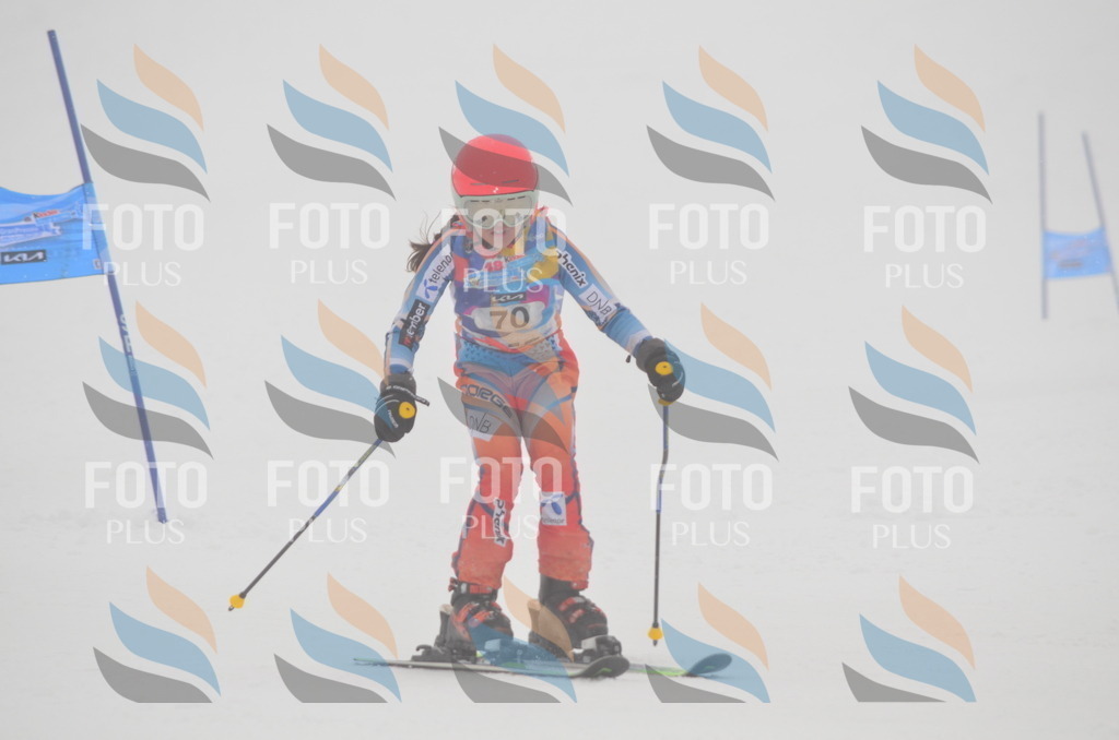 C1156 | holidayphoto