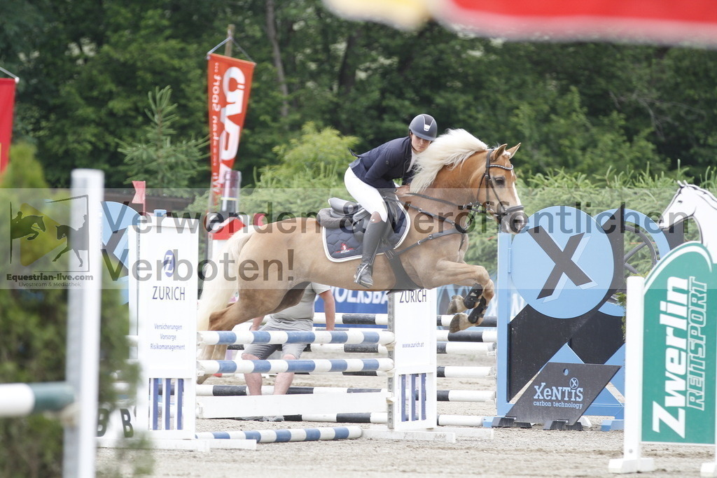 _MG_6604 | equestrian-live-com
