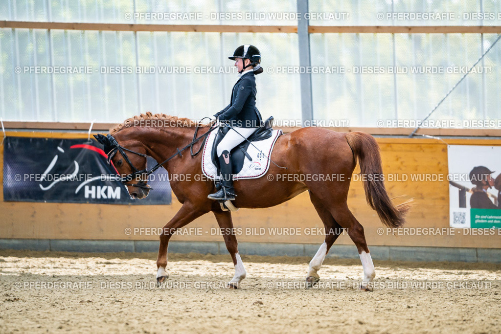 DSC05203 | Pferdegrafie