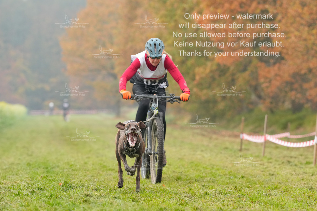 Visbeck_Sa_Bike-134 | stephaniefillaphotographie - Realisiert mit Pictrs.com