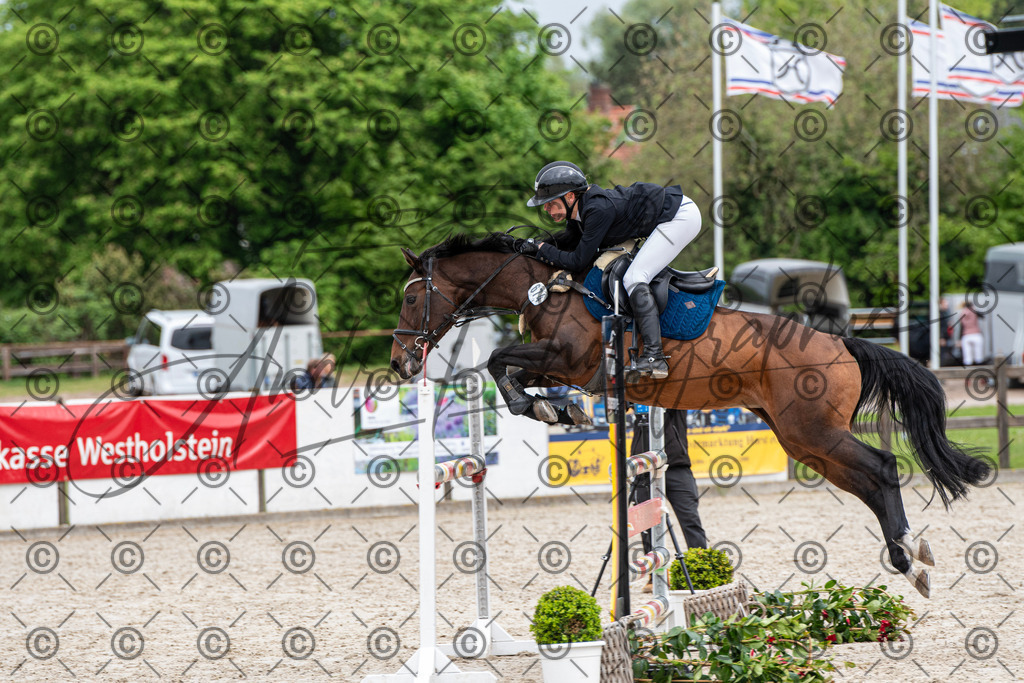 KPT_8190 | andre_photographic