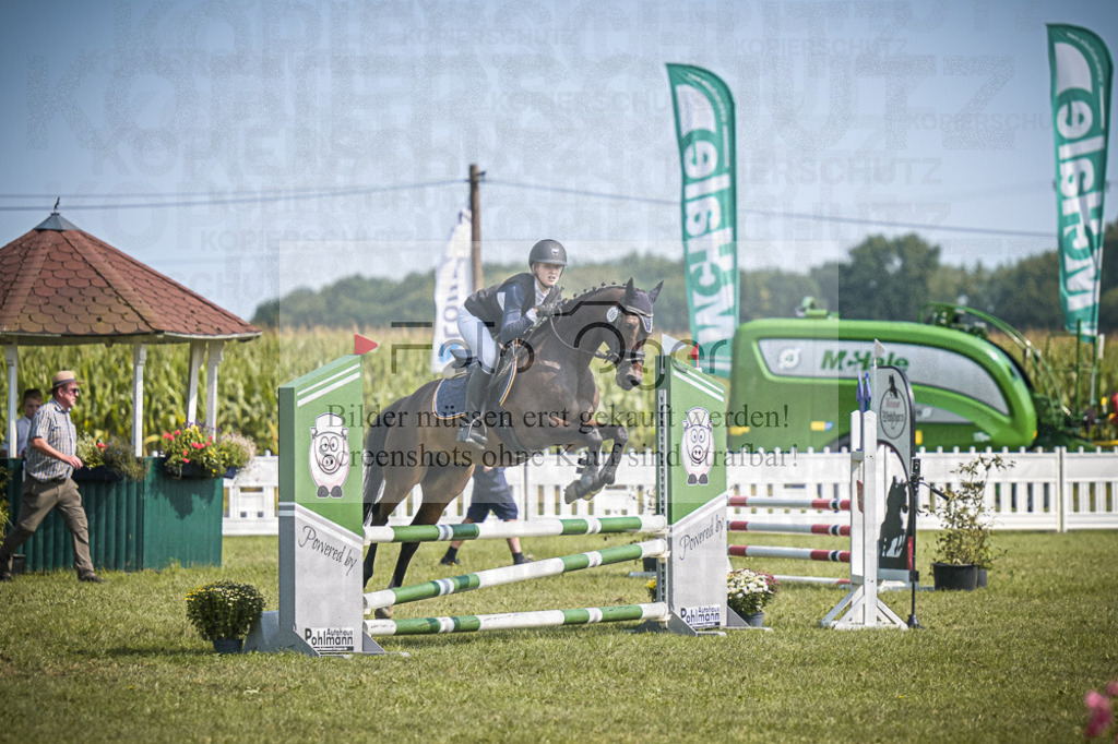 DOS_3521 | Entdecke hochwertige Reitturnierfotos von Foto Oger. Professionell, emotional und authentisch – jetzt Lieblingsmomente im Shop bestellen.Deutschlandweite Turnierfotografie. - Realisiert mit Pictrs.com