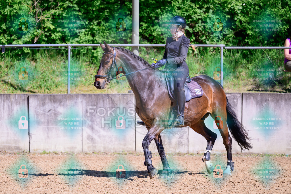 01052026-Giesenbach-02-Stiltrail-0455 | Fokus Hufschlag Fotografie - Realisiert mit Pictrs.com