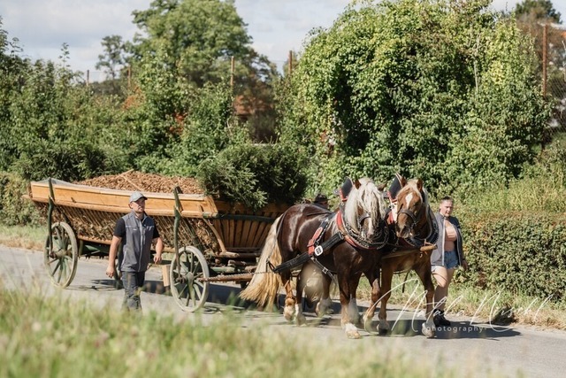 7V6A2120 | natalia-nirschl-photography