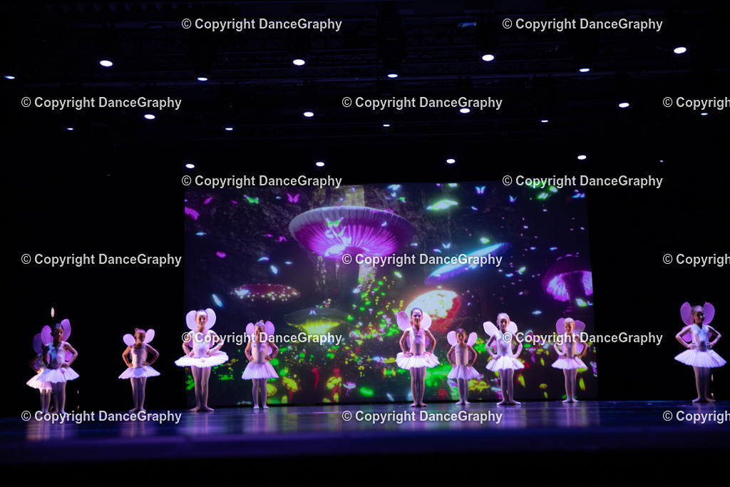 GPHY4744 | DanceGraphy - Realisiert mit Pictrs.com