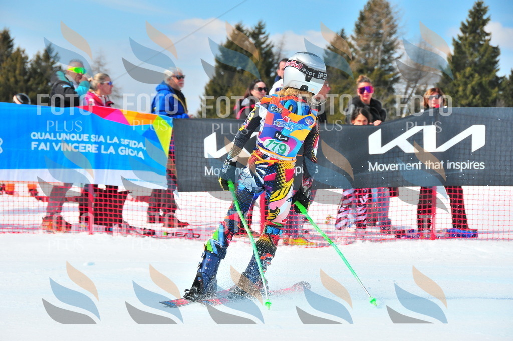 DSC_1637 | holidayphoto