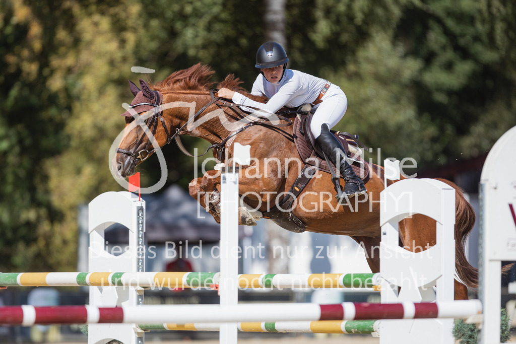 220824_Delbrueck_Stil-M1-234 | Deine schönsten Turniermomente als professionelle Fotos! Entdecke hochwertige Pferdesport-Fotografie im Online-Shop. Jetzt Fotos finden & bestellen!