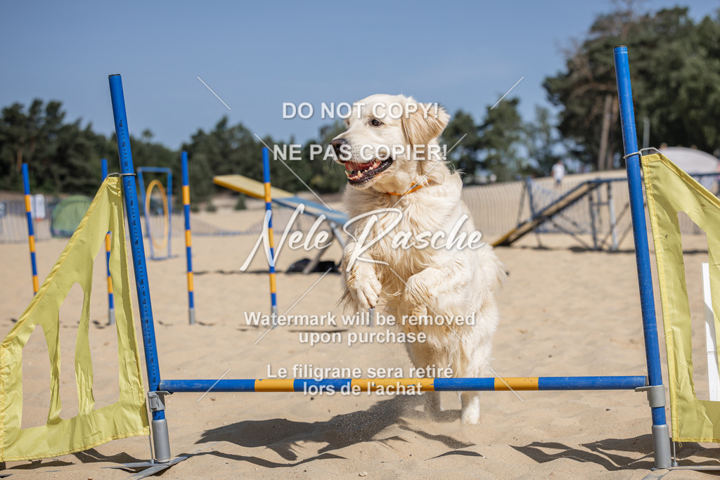 nelerasche_saBeachility_516 | nelerasche