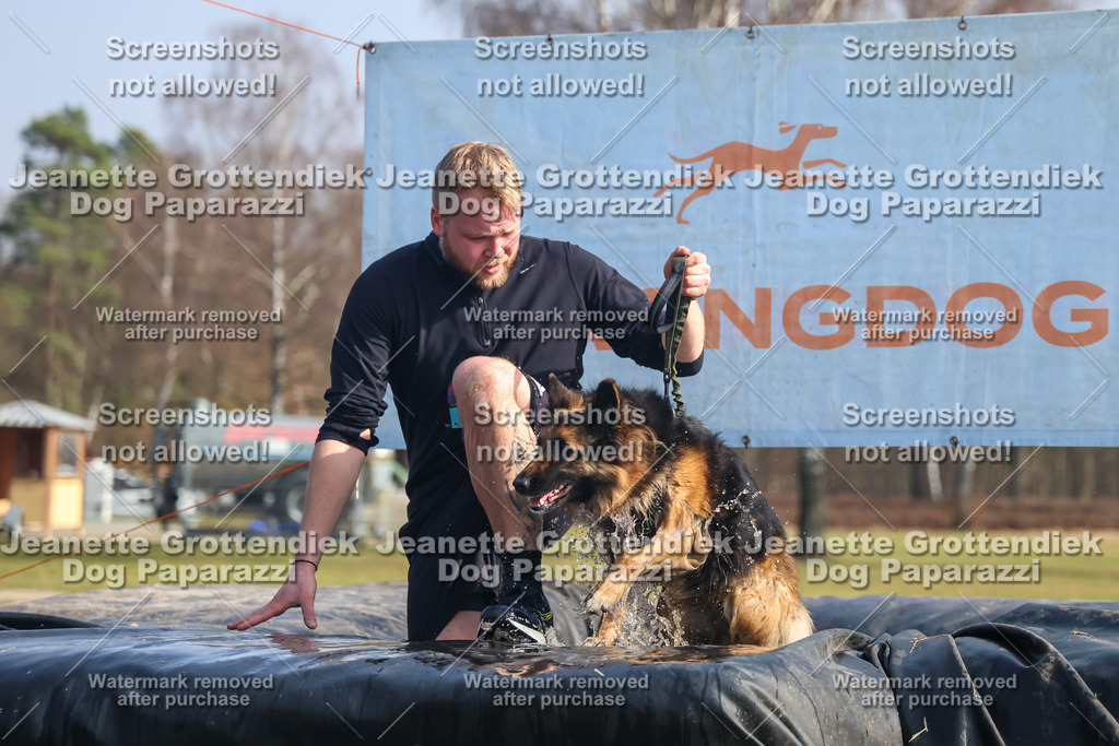 Dog Paparazzi - Strongdog North Mrz26-1986 | Dog Paparazzi Jeanette Grottendiek Fotografie & Videografie - Realisiert mit Pictrs.com