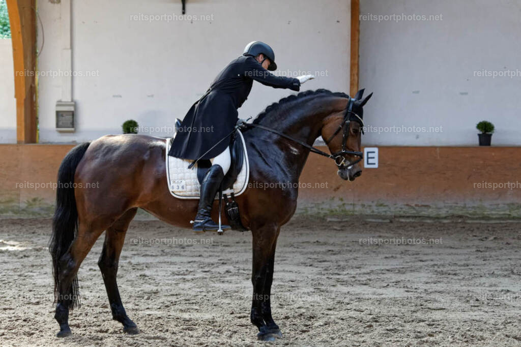 JHE34413 | JoYa Fotografie - Realisiert mit Pictrs.com
