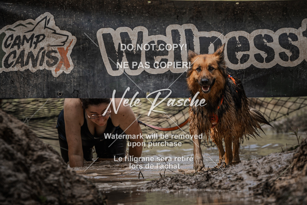 nelerasche_Hoope2026_So1600-1630_164 | nelerasche