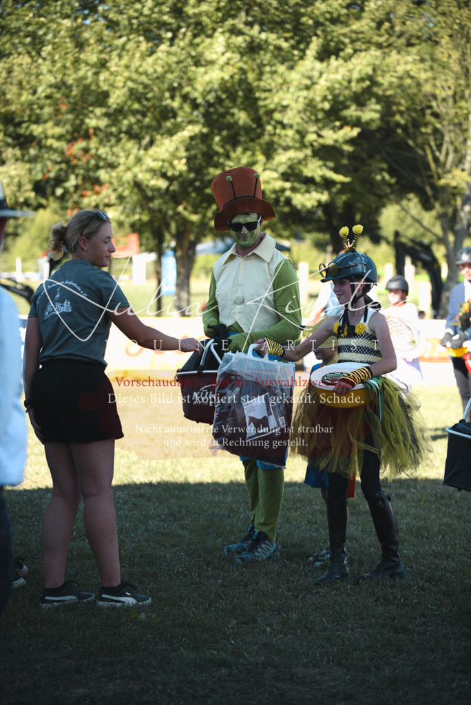 DSC_7852 | Pferde- und Turnierfotografie in Westsachsen. Pferdeportraits, Auftragszeichnungen und intuitive Kunst.
